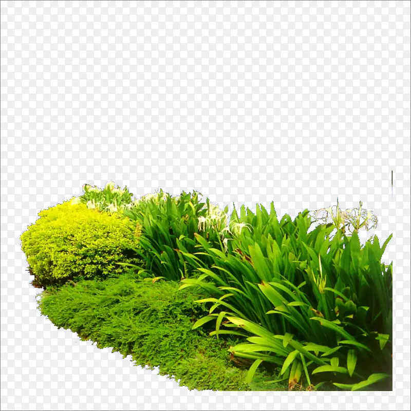 �ݶ�-������