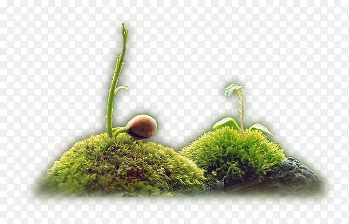 С�ݶ�-������