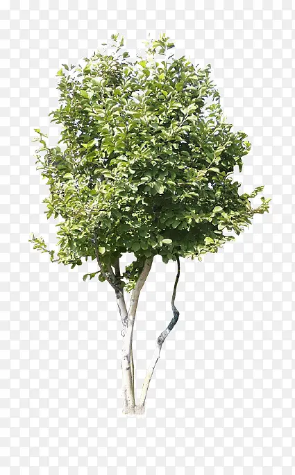 С��-������