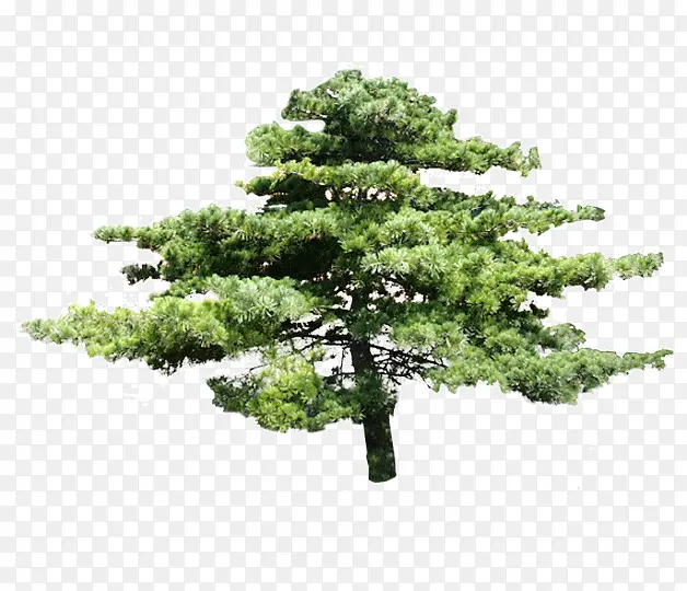 С��-������