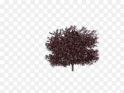 С��-������