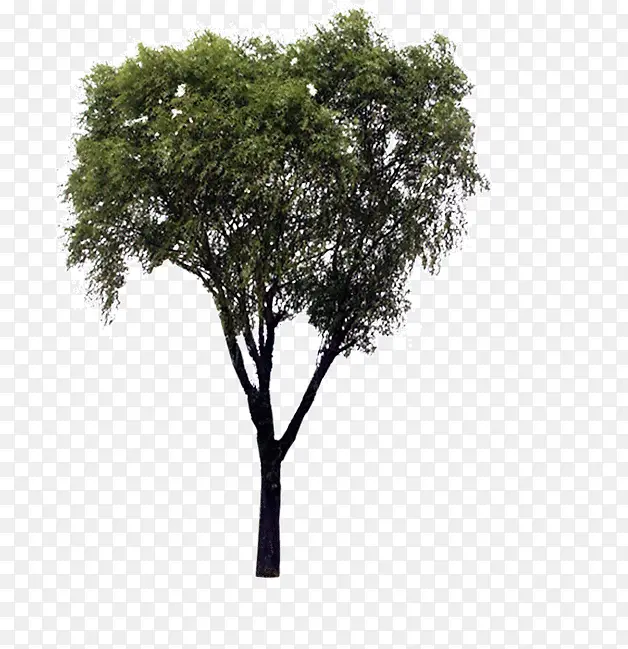 С��-������