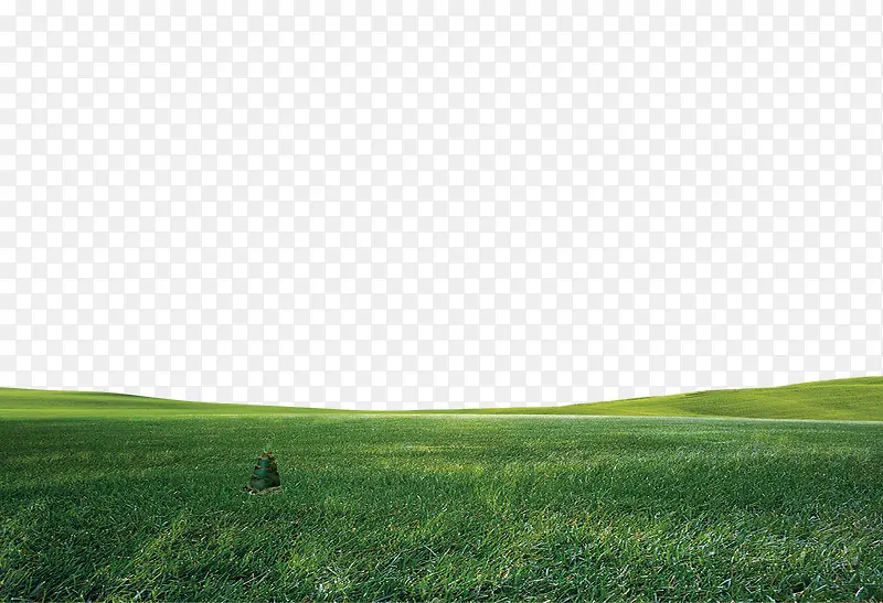 �ݵ�-������