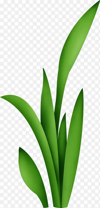 �̲�-������