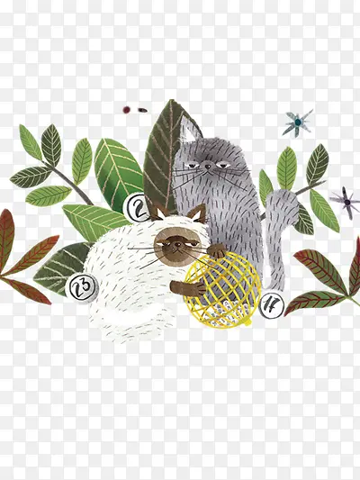 �廭-������