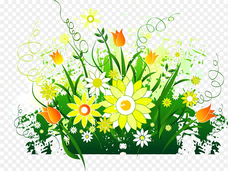 �����ƺ-������