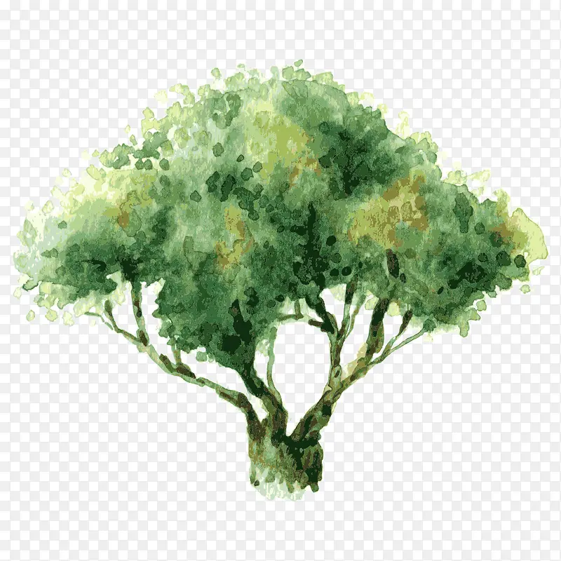 �� ��ľ-������