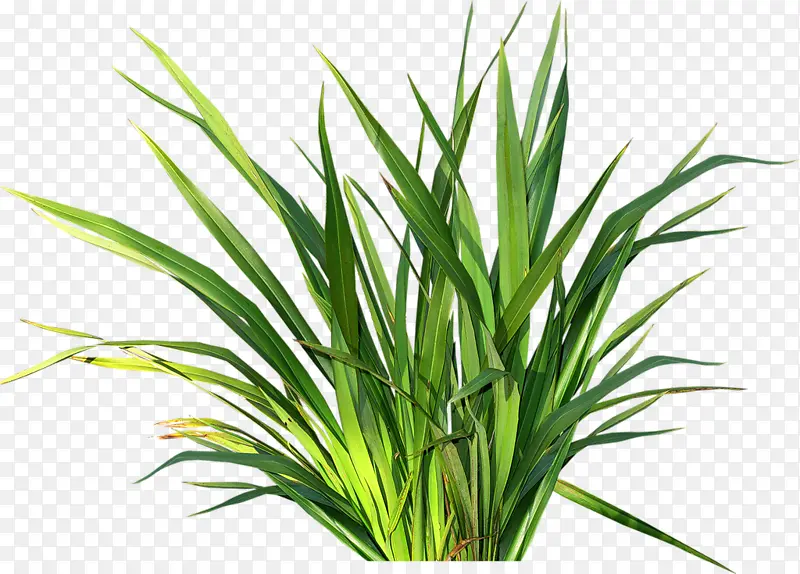 �ֻ��̲�-������