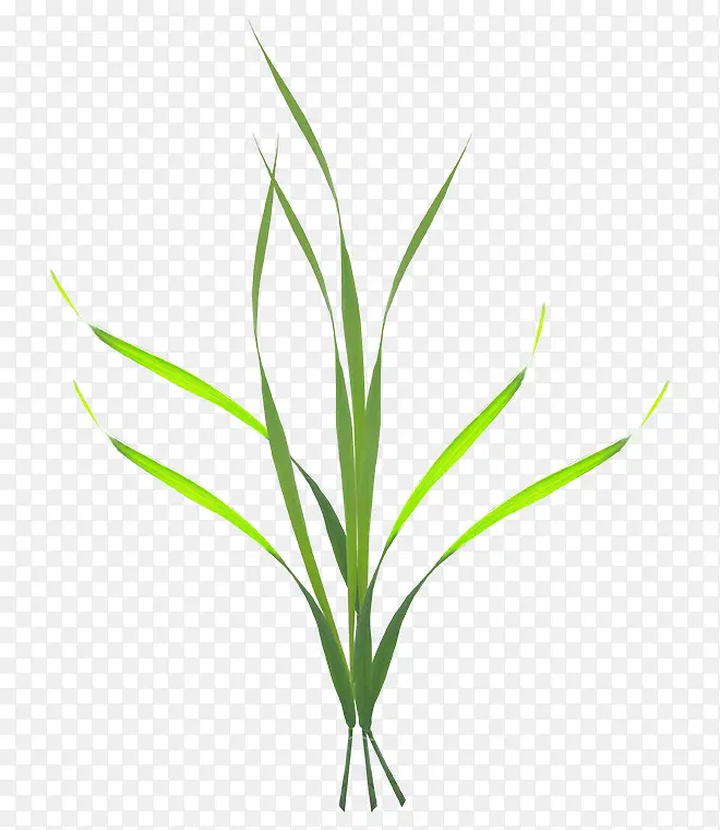 С��-������