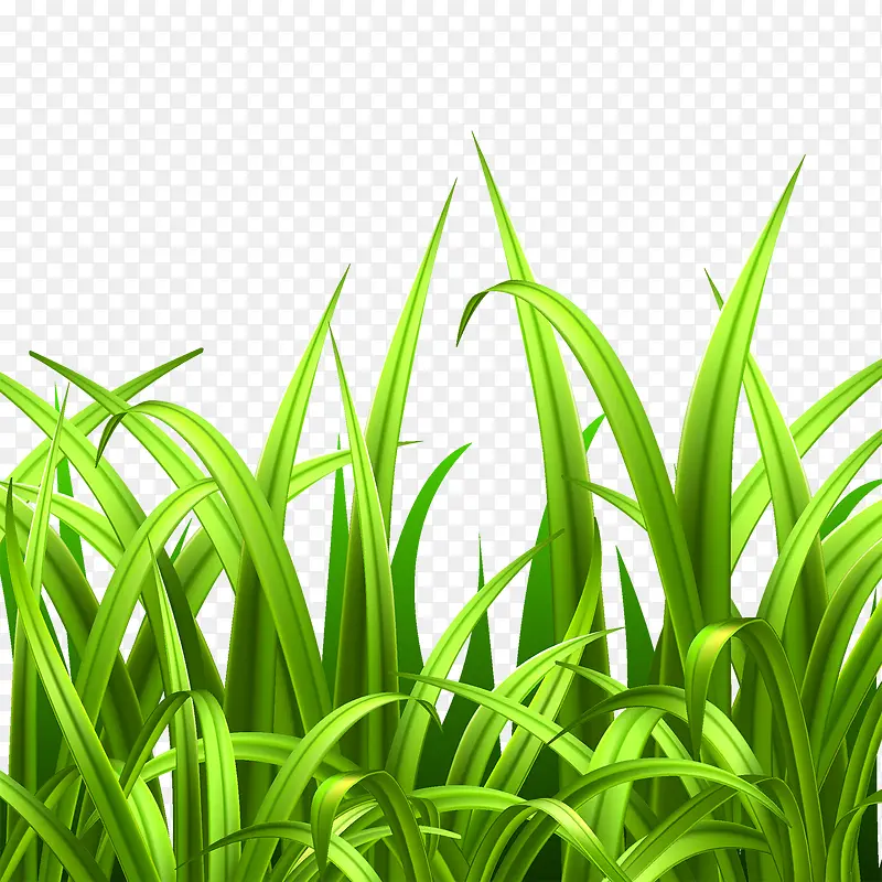 С��-������