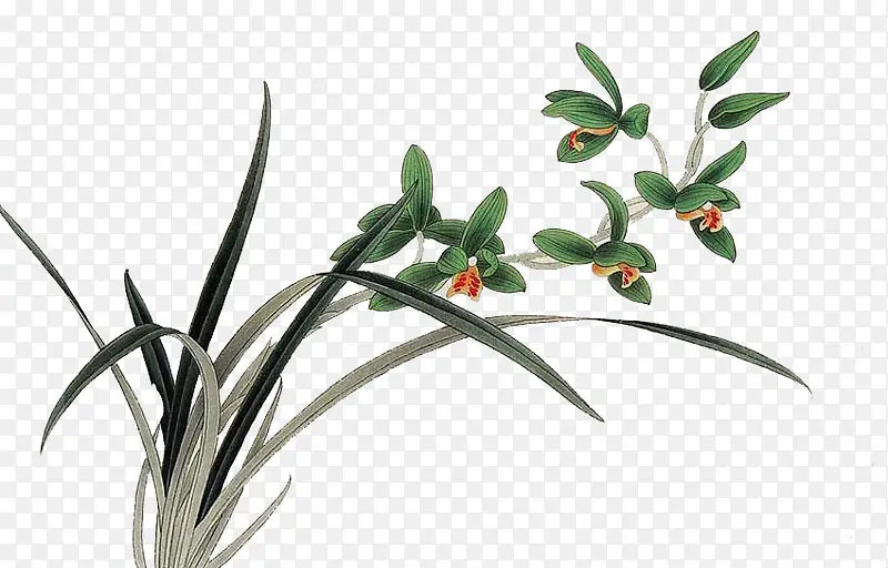 Ұ��-������