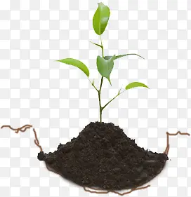 С��-������