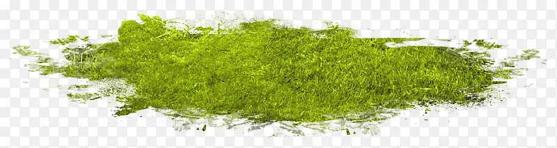 �ݵ�-������