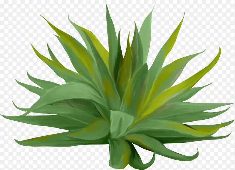 С��-������