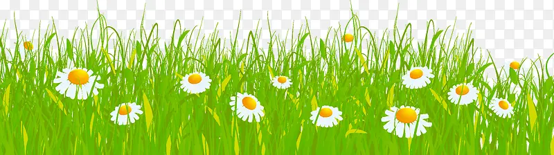 �ݵز�ƺ-������