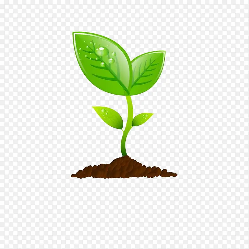 ����С���ı�����-������