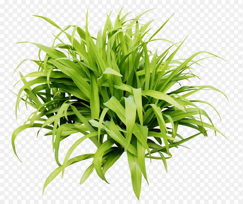 С������ز�-������