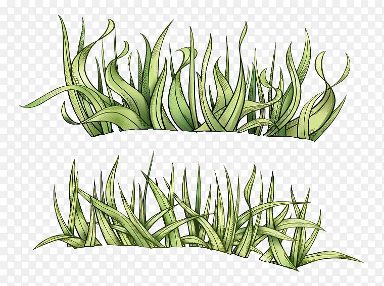 �ֻ�С��ֲ��-������