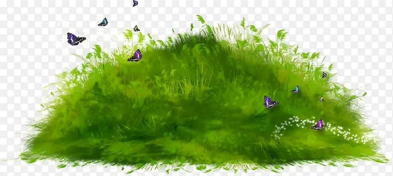 �ݴԺ���-������