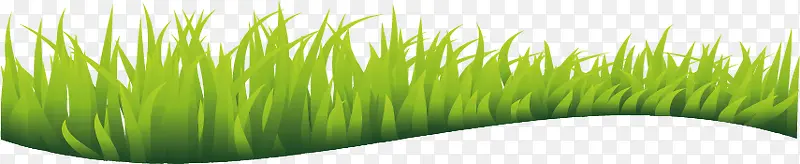 С�� �ݵ� �̲�-������