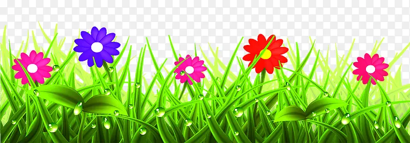 �ݵز�ƺ-������