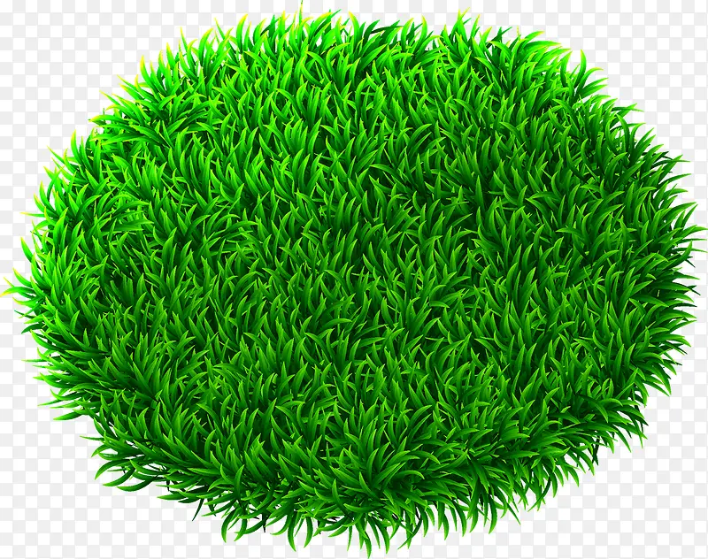 �̲�-������