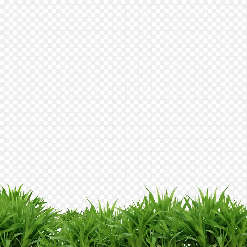 ��Ԫ��-������