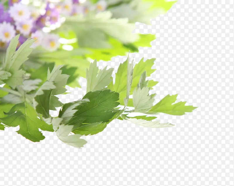 ����-������