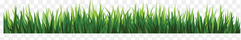 �ݵ�С��-������