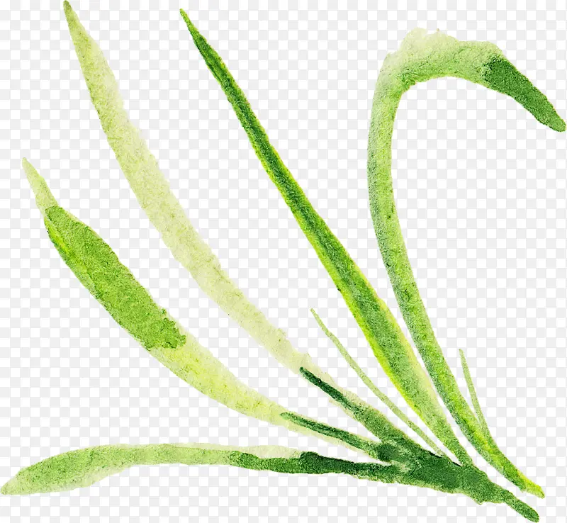 �̲�-������