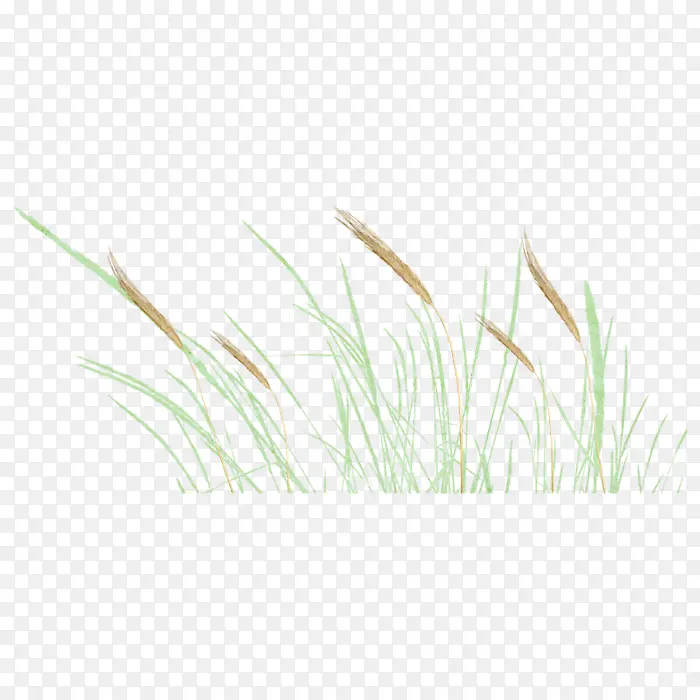 ��-������