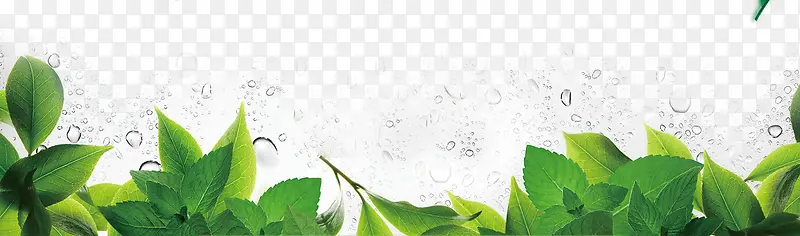 �̲�-������