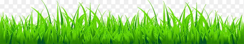 �ݵز�ƺ-������