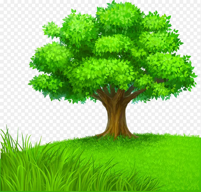 �ݵز�ƺ-������