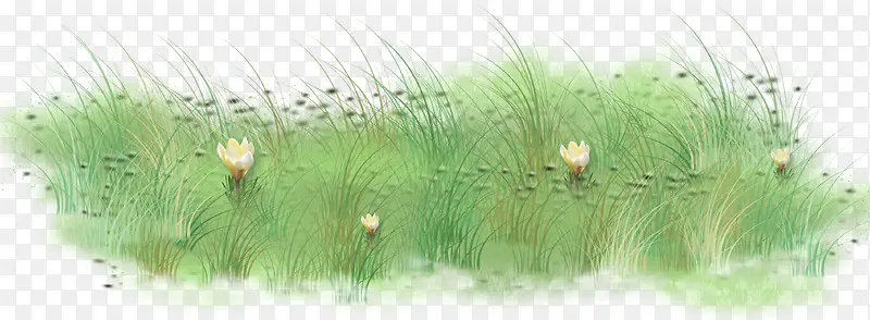 ��ɫ�ݴ�-������