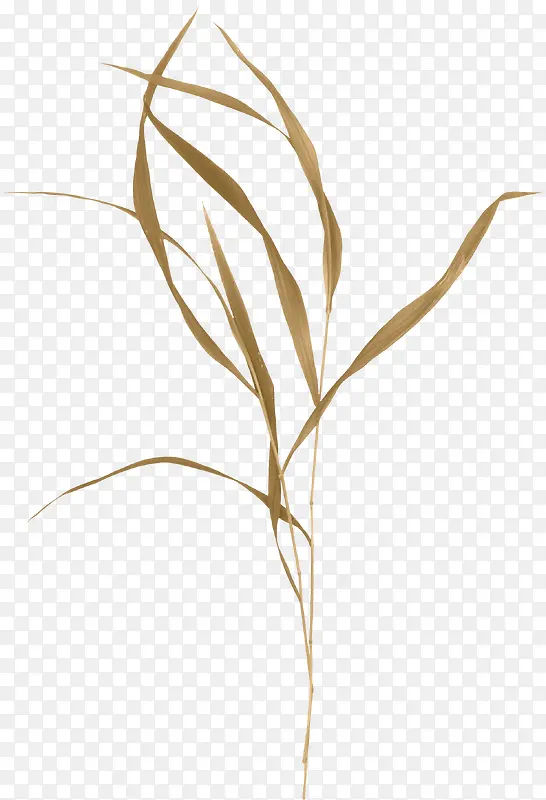 �Ӳ�-������