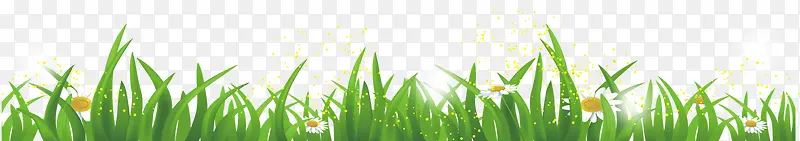 �̲�-������