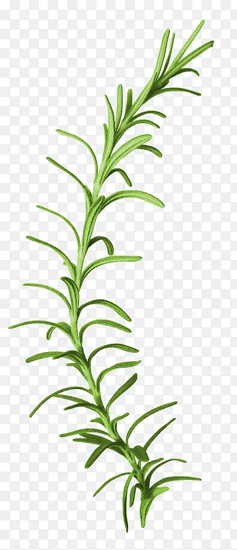 ��ɫС��-������