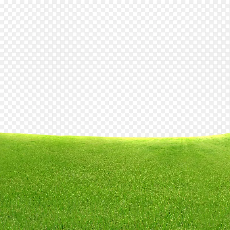 �ݵ�Ԫ��-������