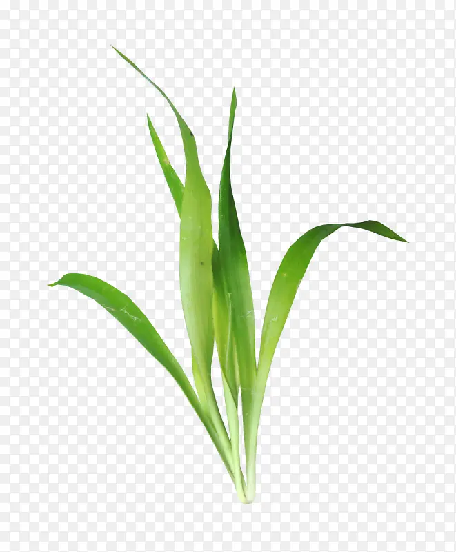 С��-������