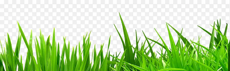 С��-������