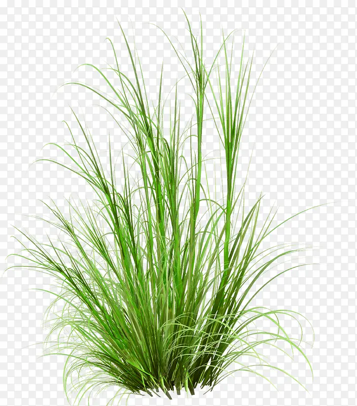 �̲�-������