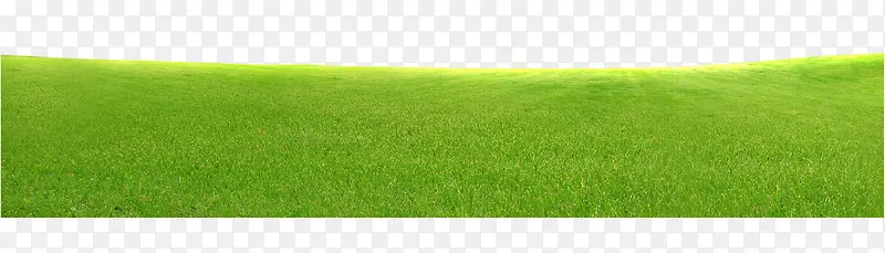 �ݵ�-������