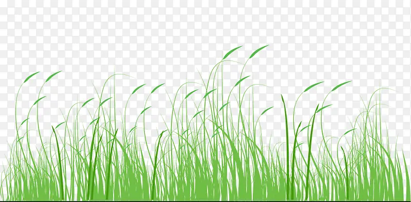 С��-������