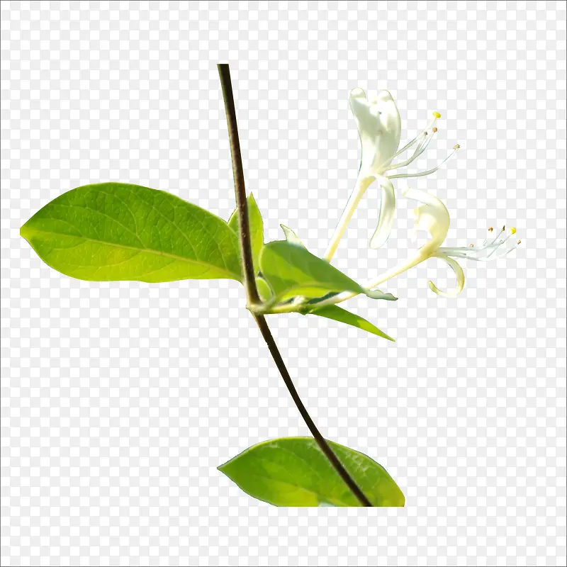 ������-������