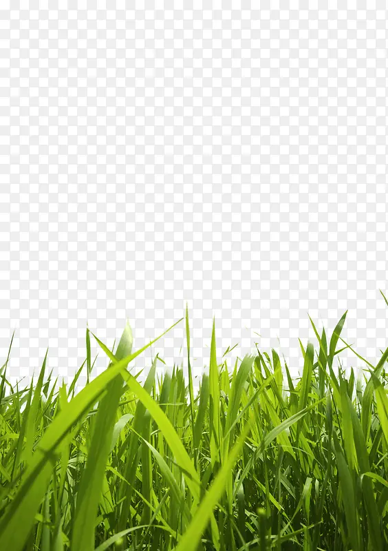 �̲�-������