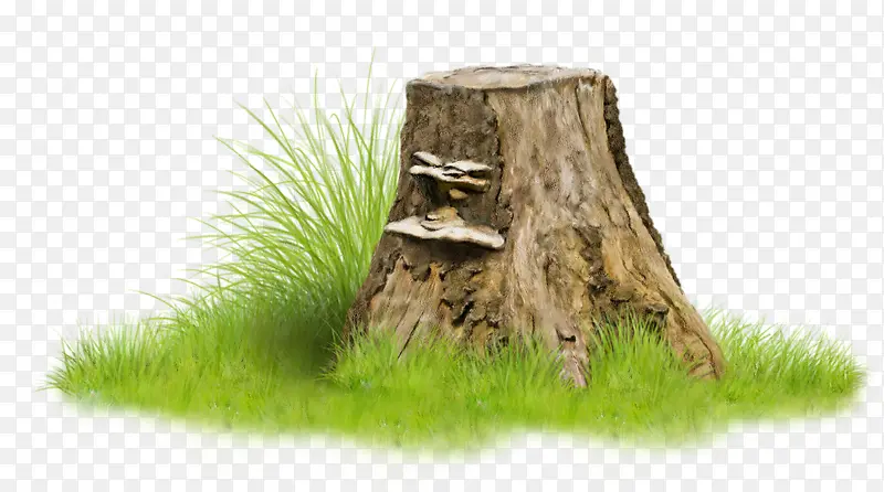 С�ݺ���׮-������