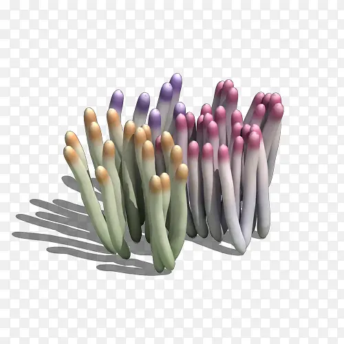 С����-������