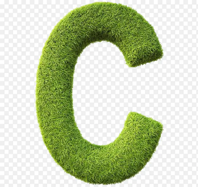 С�������ĸC-������