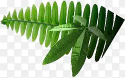 ��ާС��-������